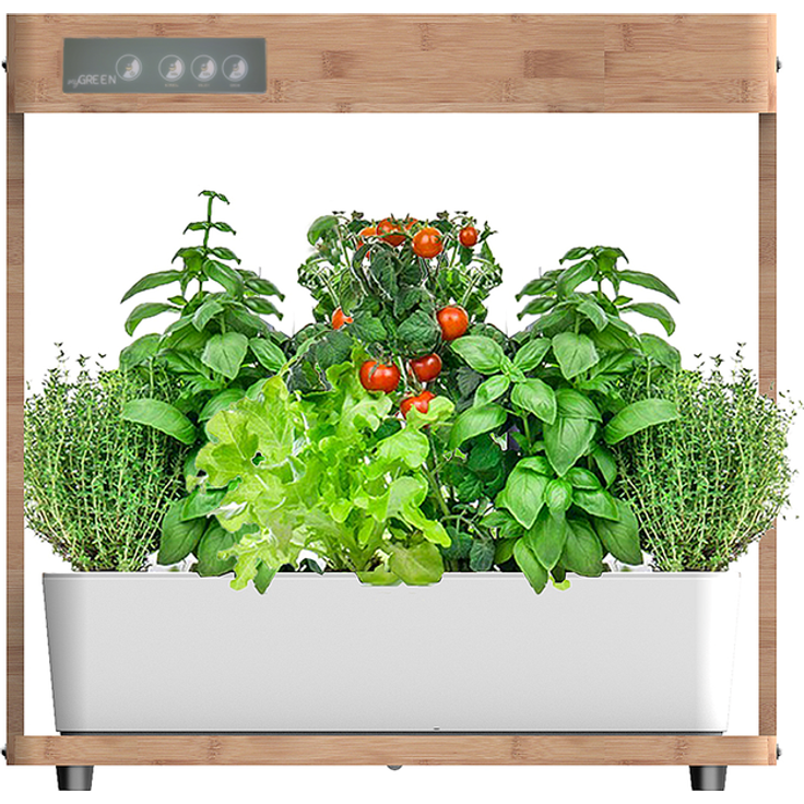 myGREEN Kitchen Garden Sorglos Kit- Der hydroponische Garten im Haus