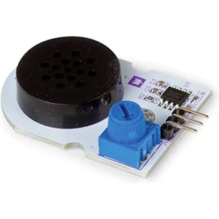 Digital Speaker Module