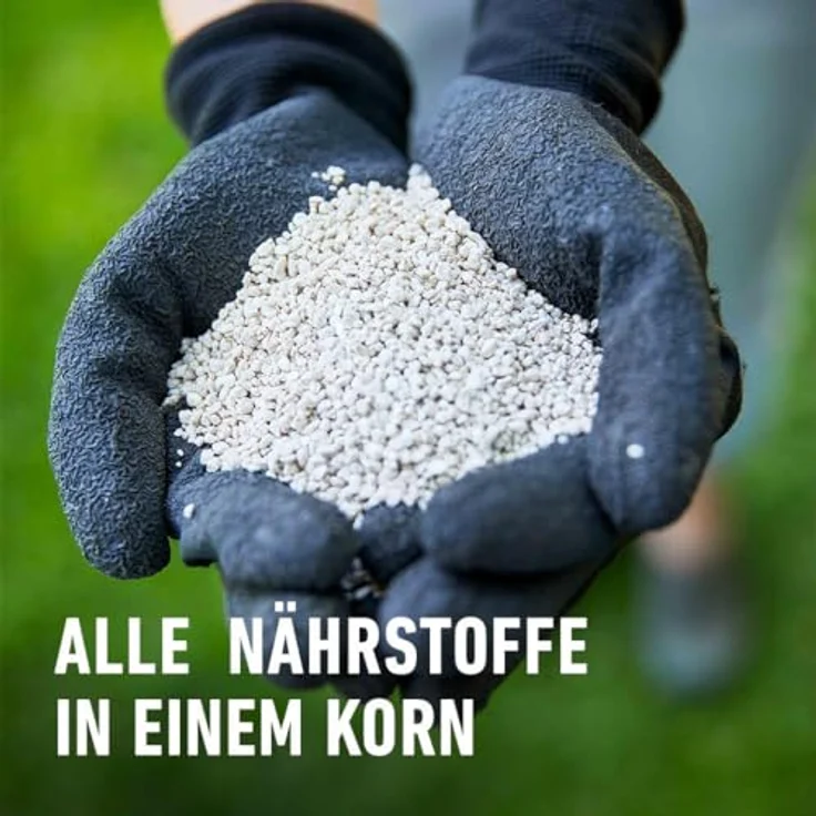 COMPO Rasen-Langzeitdünger, 3 Monate Langzeitwirkung, Rasendünger, Feingranulat, 15 kg – Bild 3