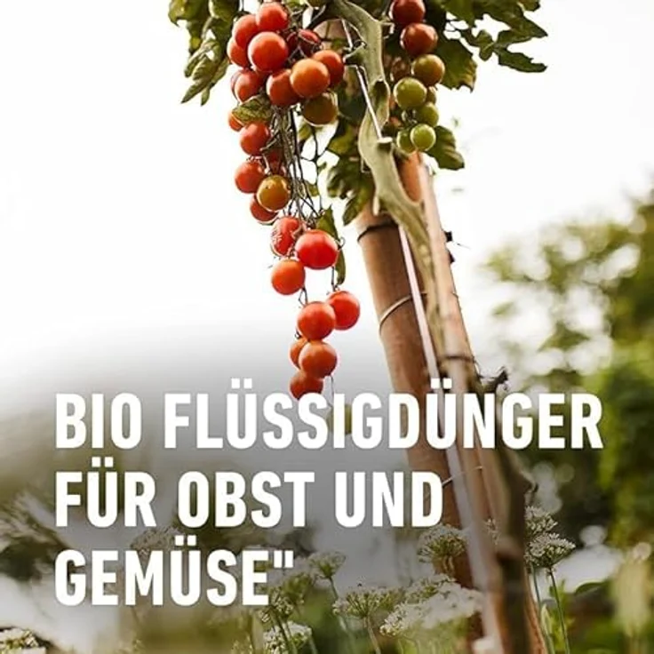 Compo BIO Obst- und Gemüsedünger, 1 Liter – Bild 4
