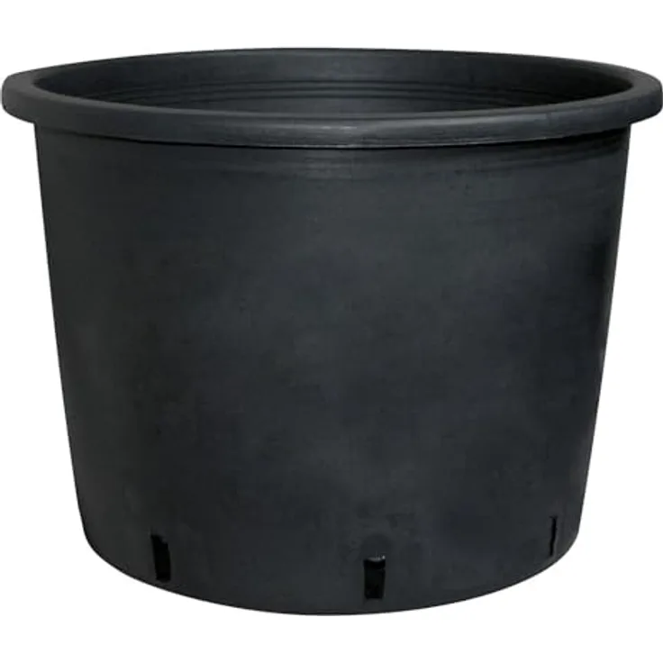 Baumcontainer, Polypropylen, robust, Ablauflöcher an der Seite. D 30 x H 26 cm