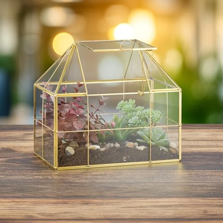 Relaxdays Pflanzenterrarium aus Glas Hausform, Minigewächshaus für Sukkulenten und Moos, in verschiedenen Farben, 21 x 23 x 14 cm – Bild 3