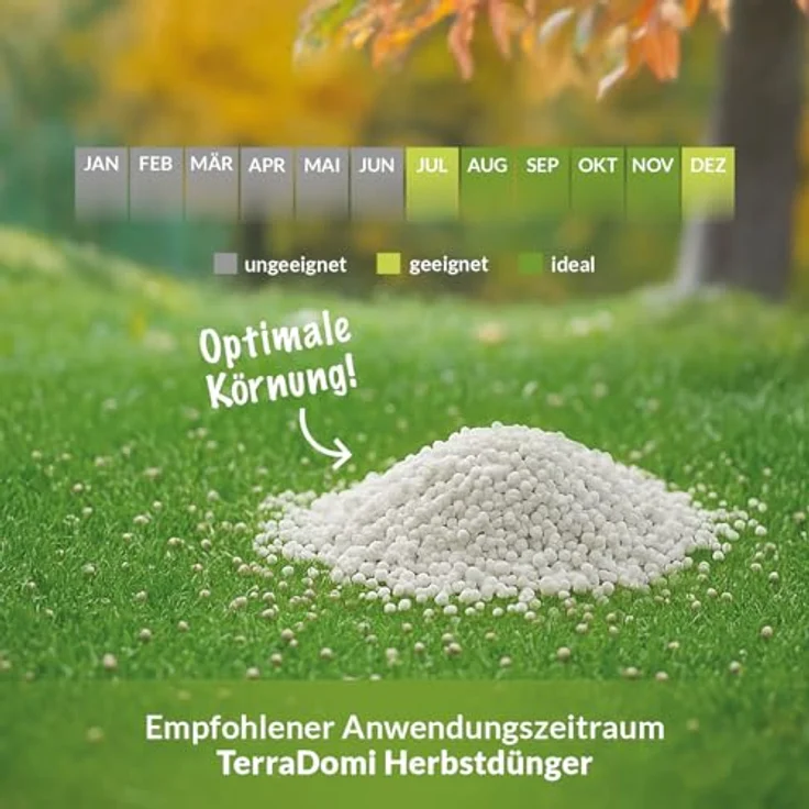TerraDomi Herbstrasendünger mit Kalium 25 kg für 1000m² I Wurzelstärkung und Pflanzenkräftigung – Bild 7