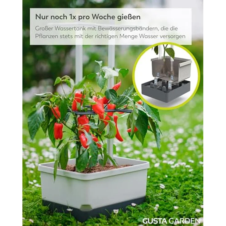 Gusta Garden Pflanzkübel CHARLY CHILI, mit stabiler Rankhilfe und Bewässerungssystem, hellgrau – Bild 4