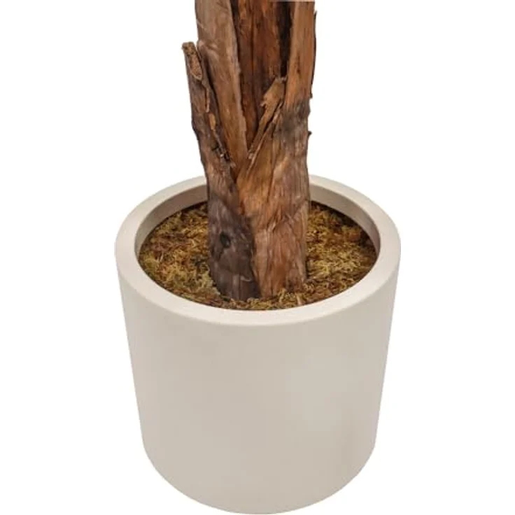 hjh OFFICE Kunstpflanze BANANE I 150cm Deko Kunstpflanze Pflegeleichte Bananenpflanze Kunstbaum für Wohnzimmer Schlafzimmer Büro, detailgetreue Optik, geruchsneutral, creme-weißer Kunststofftopf – Bild 5