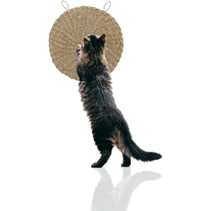 Rohrschneider® Kratzmatte Katze rund | Kratzbrett | Seegrasmatte | Kratzmatte Katze Wand | Katzen Kratzbrett einzeln oder 2er Set (Einzelartikel) – Bild 1
