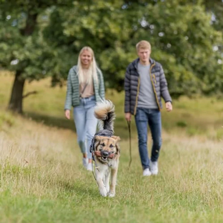 Trixie Rustic Fettleder Schleppleine (S, L, Hund), Halsband + Leine – Bild 5