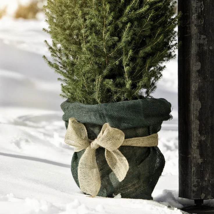 Windhager Jute-Sack 70 x 100 cm, grün – Bild 2