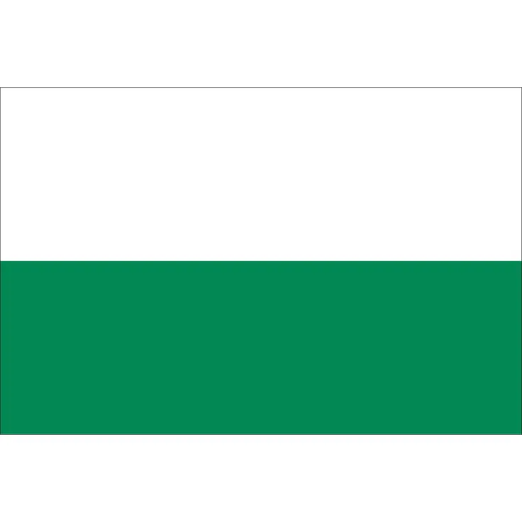 Flagge Sachsen 110 g/m² ca. 120 x 200 cm
