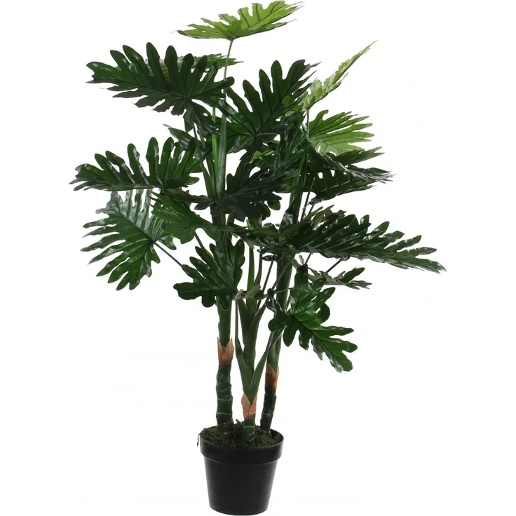 Mica Philodendron in Plastik Topf grün, 100 x 70 cm