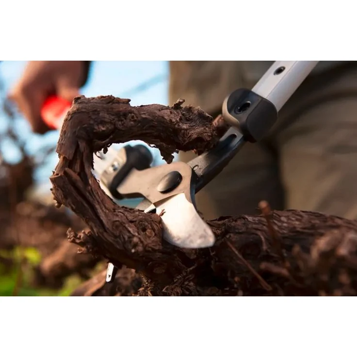 FELCO Zweihand-Astschere 201-50 – Bild 2