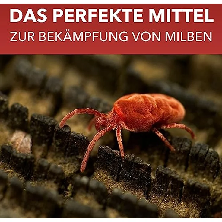 Bioformel LTK-008, 500ml Milbenspray mit Langzeitwirkung, Anti-Milben-Spray für Matratzen, Textilien und Polster, effektive Bekämpfung von Hausstaubmilben und Parasiten – Bild 4