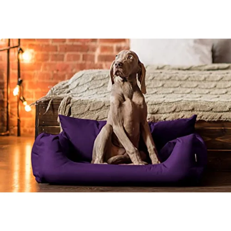 tierlando NEMO Hundebett Hundesofa Hundekorb Katzenbett Größe: N1 | Robustes Polyester 600D, lila