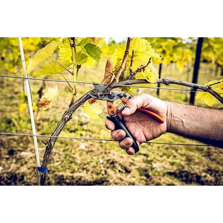 Original LÖWE 12 Bypass Gartenschere 12.109 mit kurzem Präzisionsschneidekopf - Rosenschere für mittlere bis große Hände, ideal zum präzisen Schneiden von Pflanzen und Rosen – Bild 2