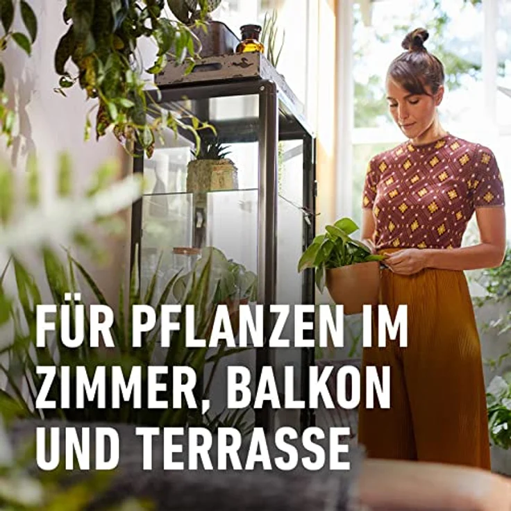 Compo Blumendünger mit Guano flüssig 2,5 Liter – Bild 4