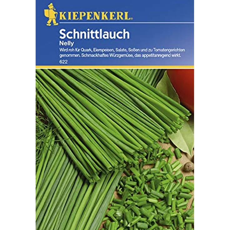 Schnittlauch Nelly feinröhrig, mehrjährig – Bild 2