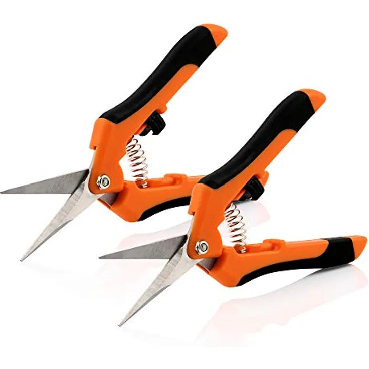 Zelsius 2er Set Ernteschere | Gerade, Spitze Klinge | Orange/Schwarz | Gartenschere Rosenschere Pflanzenschere Leseschere Grow Schere