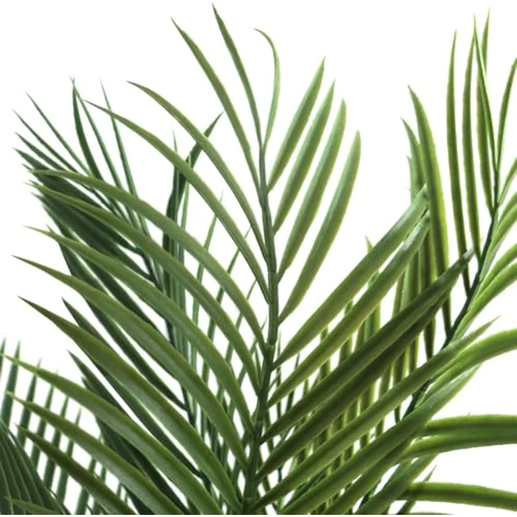 hjh OFFICE Kunstpflanze Drachenbaum Dracaena 120 cm, künstlich, realistisches Aussehen, allergikerfreundlich, weißer Topf – Bild 2