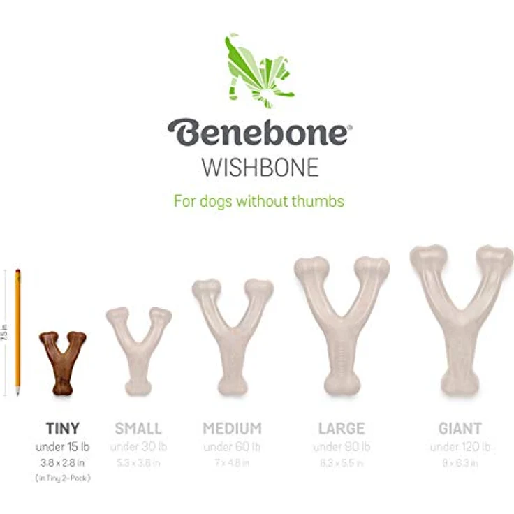 Benebone Hundekauspielzeug für Welpen, im Doppelpack weicher für sanftere Kauer, echter Speck, made in the USA – Bild 5