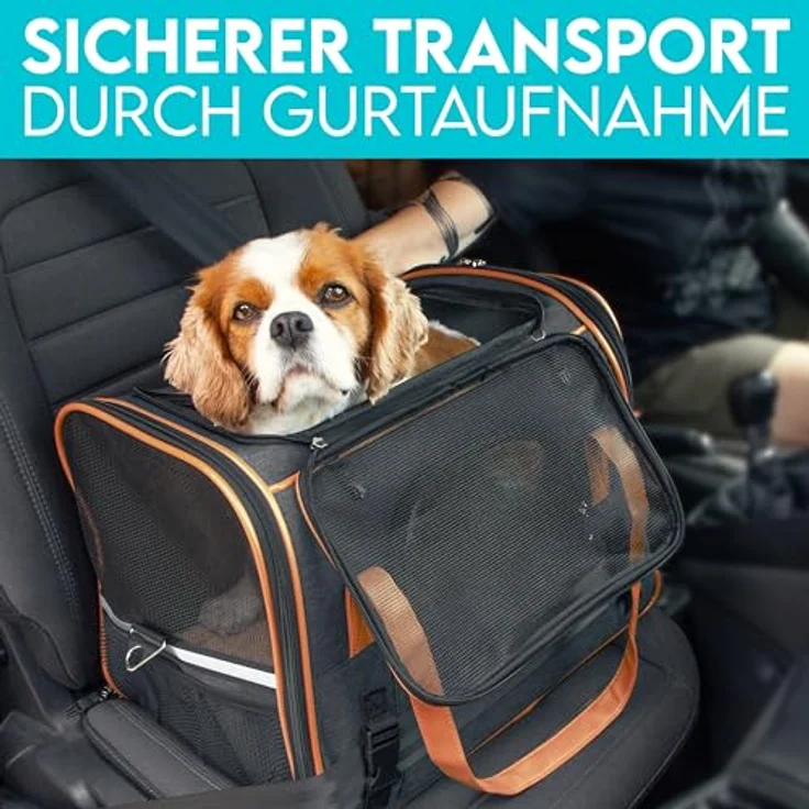 HUND IST KÖNIG Hundetasche & Katzentasche bis 8kg - Klassisches Denim Design, faltbare Tragebox für Hunde & Katzen bis 8kg – Bild 5