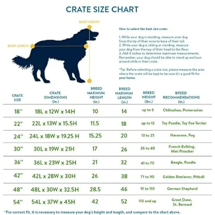 Midwest Homes for Pets Hundekäfig, Einzel- und Doppeltür, inkl. auslaufsicherer Pfanne, bodenschonenden Füßen und neuen patentierten Funktionen – Bild 3