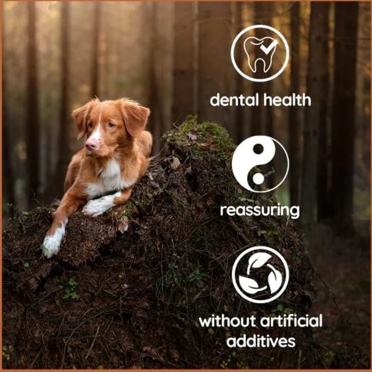 Wildfang® Kaffeeholz Hunde - Robustes Kauholz für Hunde & Welpen, Langlebige Kauwurzel für Hunde, 100% natürliches Kaffeeholz, Splitterarm - XXS für kleine Hunde bis 5 kg – Bild 4