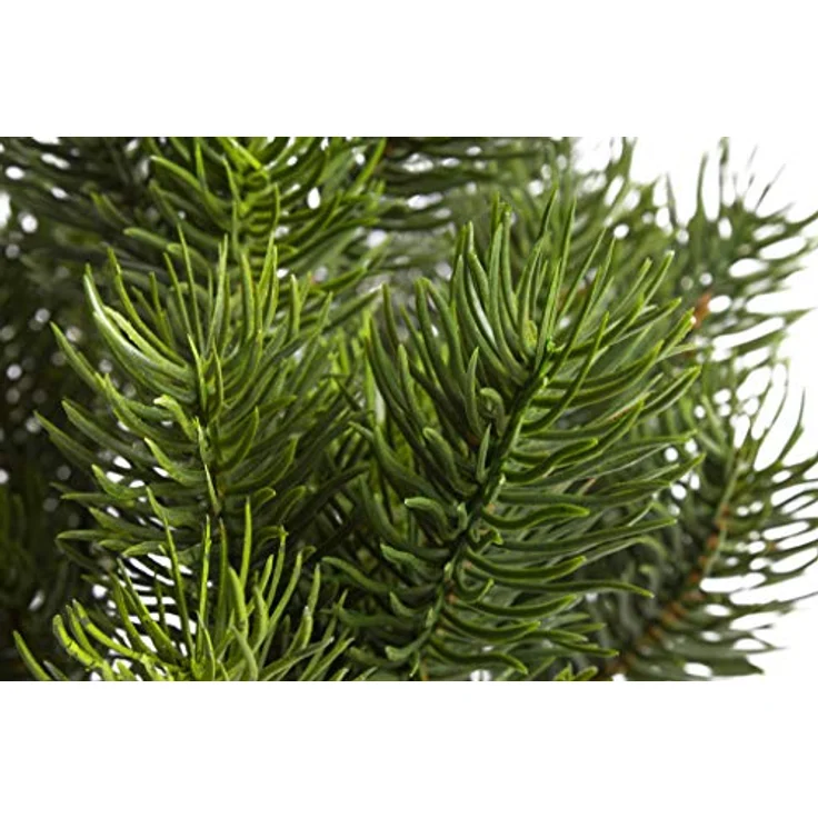 Botanic-Haus Künstliche Zimmerpflanze Tannenbusch, immergrün, Höhe 39 cm, winterliche Deko – Bild 2