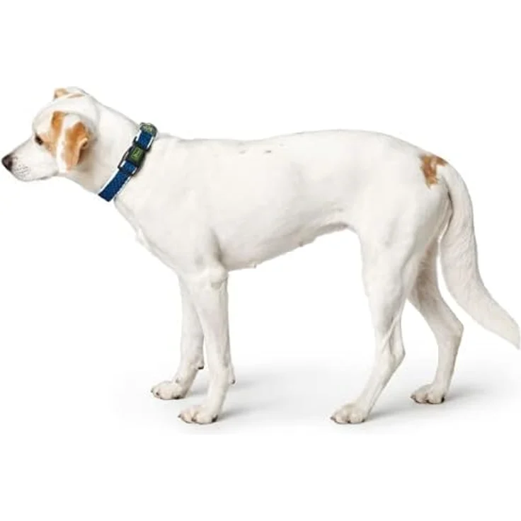 Hunter Hunde-Halsung Hilo Vario ohne Zugentlastung anthrazit S-M – Bild 3
