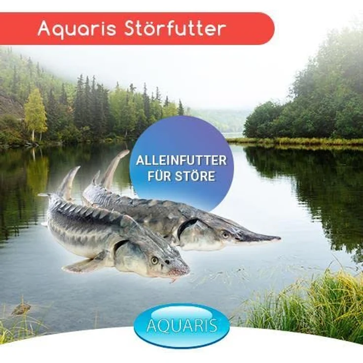 AQUARIS Futter für stör Fische trüben Nicht das Wasser und enthalten viele Nährstoffe mit nützlichen Elementen und leicht verdaulich 680 g / 1 L / 6 mm – Bild 2