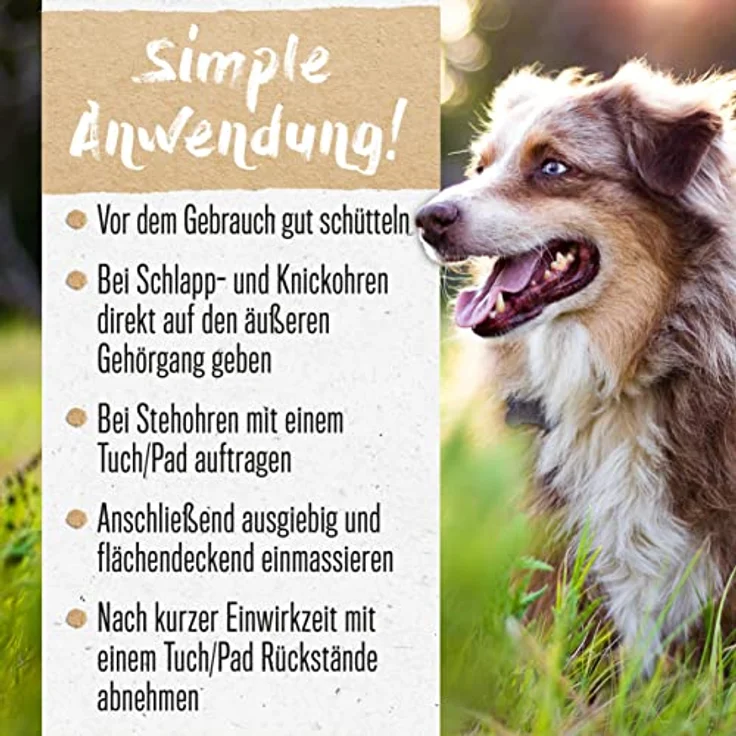 alphazoo Anti Ohrenmilben Öl für Hunde & Katzen 100 ml I Sofortwirkung I Ohrentropfen gegen Milben im Ohr & Ohrräude I Sanfte, natürliche Ohrenpflege – Bild 3