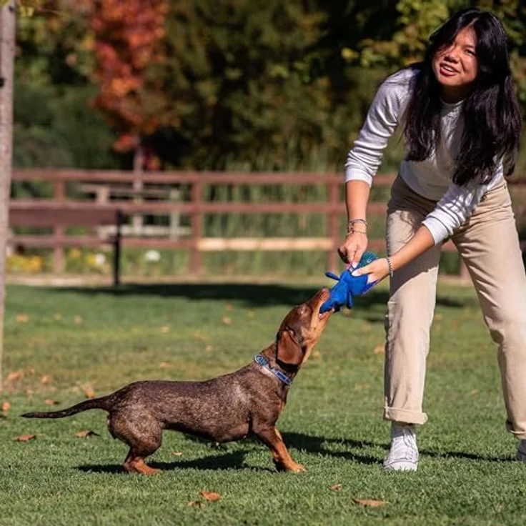 Cerda Disney Stitch Hundespielzeug Ball, robustes Beißspielzeug aus Polyester für gesunde Zähne und Kauvergnügen – Bild 7