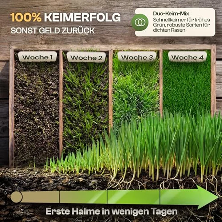 HELDENWERK® Rasensamen schnellkeimend 0,5kg für 20m² - 100% Keimgarantie, robust für alle Bodenarten, ideal für Nachsaat und Neusaat, Sport- & Spielrasen – Bild 4