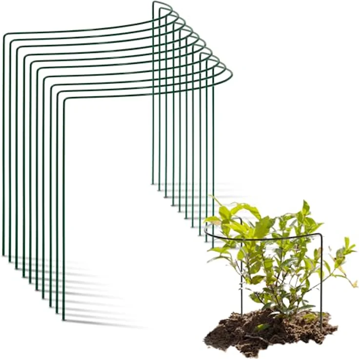 Novatool 10 Strauchstütze Metall halbrund, 40 cm hoch, grün, stabile Pflanzenstütze und Rankhilfe für Sträucher und Blumen – Bild 1