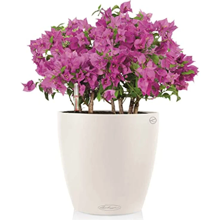 Lechuza Pflanzgefäß Classico Color 35 Komplett-Set Weiß Blumenkübel Pflanztopf – Bild 3