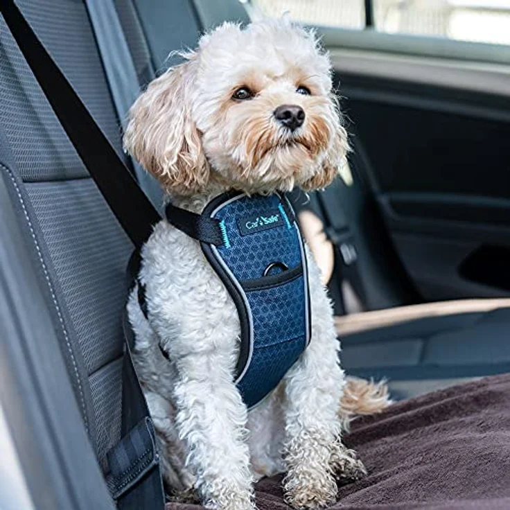 Company of Animals CarSafe Crash-getestetes Hunde Sicherheitsgeschirr, für kleine Hunde (Größe XS), bis 32 kg, gepolstertes Design, reflektierendes Brustteil – Bild 2