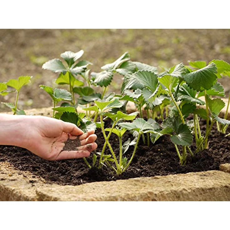 Naturen Bio Tomatendünger 1,7 kg – Bild 6