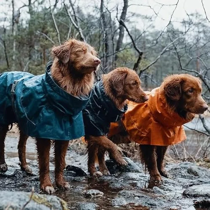 Hurtta Monsoon Hunderegenmantel, Wasserdicht Regenjacke für Hunde mit Reflektoren, Schwarz 45 cm – Bild 5
