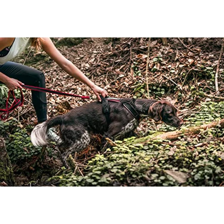 JULIUS K-9 JK9 Speed Hundegeschirr, Größe: M, Rot - Reflektierende Nähte, einstellbare Gurte, perfekt für Spitzenleistungen – Bild 2