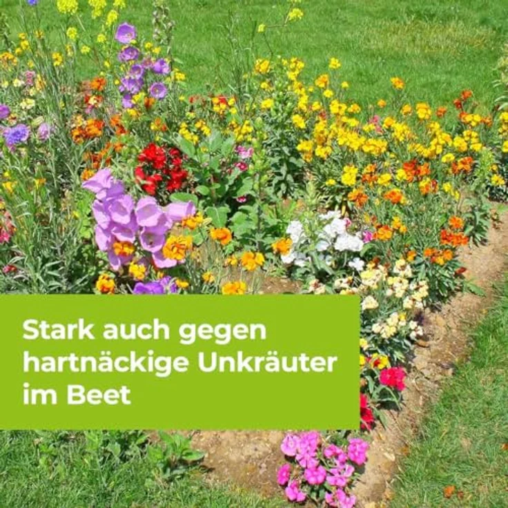 Protect Garden Permaclean Duo Unkraut & Wurzel-Ex 1l, Effektives Unkrautmittel mit zweifach Wirkung gegen alle Unkräuter, Glyphosatfrei – Bild 4