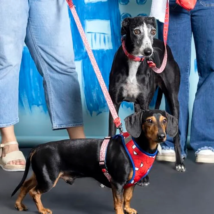 Cerda Hundeleine Marvel Spiderman, strapazierfähiges Hundezubehör aus Polyester, Größe M – Bild 7