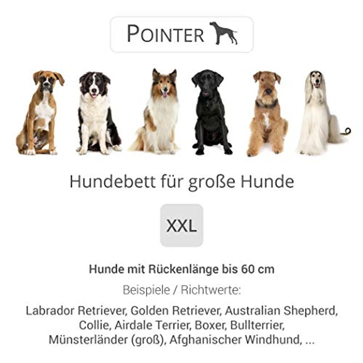 Doctor Bark Pointer | Hundebett mit Hundekissen - orthopädisch, waschbar, bequem (XXL - 100x90 cm, Hellgrau) – Bild 4