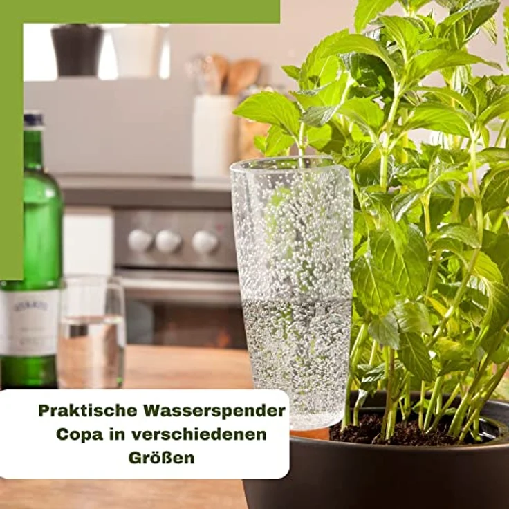 Copa M Bewässerung Wasserspender Bewässerungskugel transparent (4, Transparent) - Scheurich - Preisvergleich – Bild 5