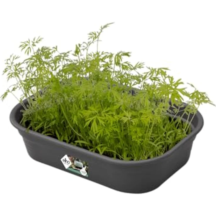 Elho Green Basics Anzucht Schale S - Lebhaft Schwarz - für drinnen & draußen, L 23.9 x W 19.2 x H 6.1 cm, frostbeständig, mit Wasserablauflöchern – Bild 3