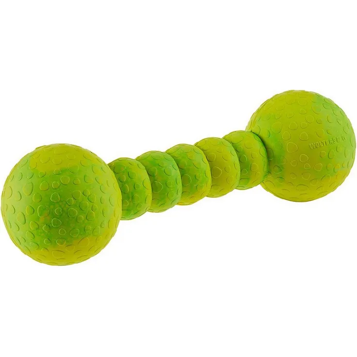 Wolters Dog Fun Gym, wasserfestes Hundespielzeug aus Naturkautschuk, mint, 23 cm, robust und kauftfest