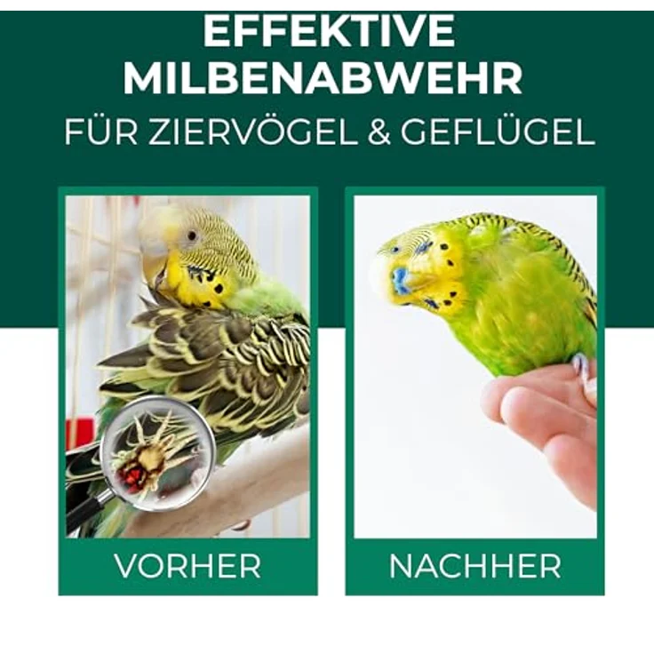 Silberkraft Insektenspray Milbenspray für Ziervögel & Geflügel, 250 ml, effektiver Langzeitschutz vor Milben & Parasiten, hergestellt in Deutschland – Bild 2