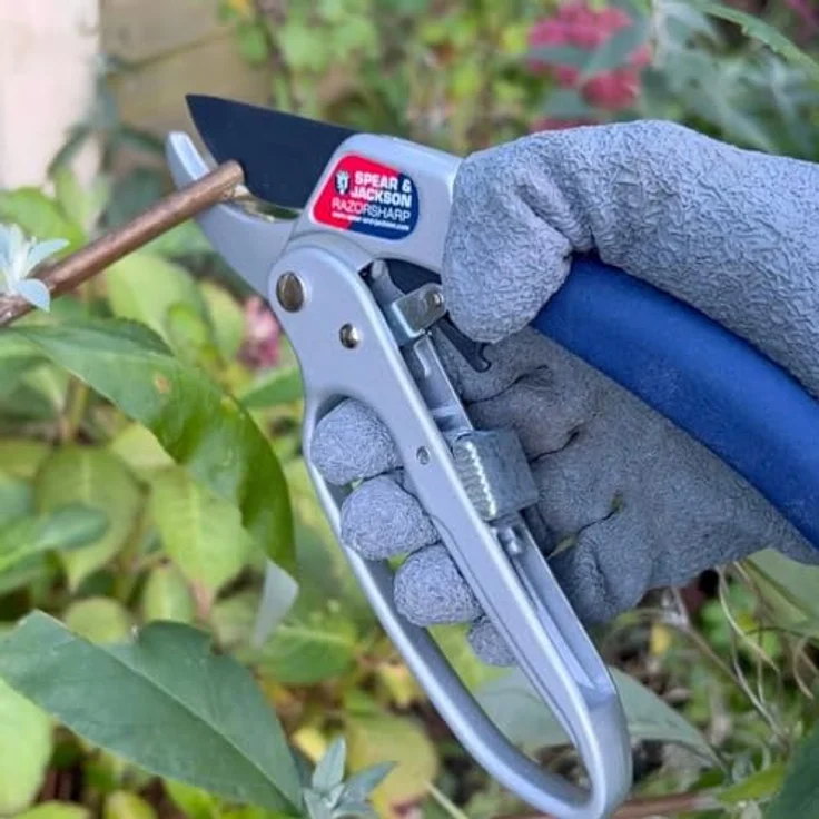 Spear und Jackson Razorsharp Advance Ratschen-Gartenschere - Amboss-Gartenschere mittelgroß – Bild 5