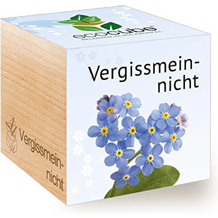 Feel Green Ecocube Vergissmeinnicht, Anzuchtset im Holzwürfel, 100% Eco Friendly, für Indoor- und Outdoor-Gärten, Made in Austria – Bild 1