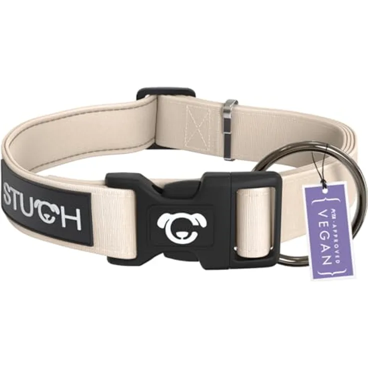 STUCH Hundehalsband - verstellbares und gepolstertes Nylon Hunde Halsband - Beige, Größe S (1,5cm x 28-45cm)