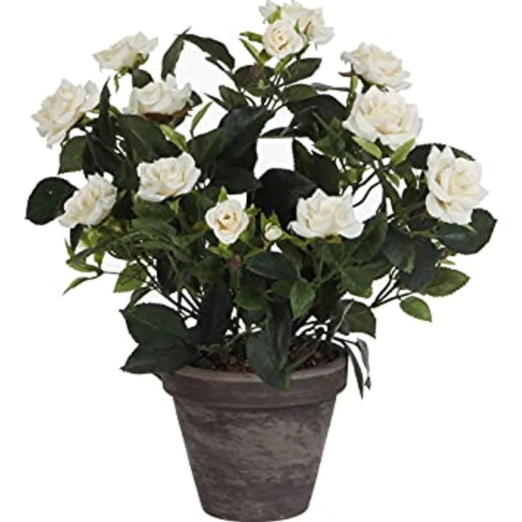 MICA Decorations Rosenstrauch Kunstpflanze im Blumentopf Stan - H33 x Ø25 cm - Weiß