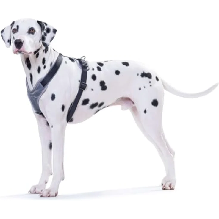 Hunter Hunde-Geschirr Neopren schwarz-grau XS – Bild 4